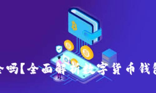 数字货币钱包安全吗？全面解析数字货币钱包的安全性与风险